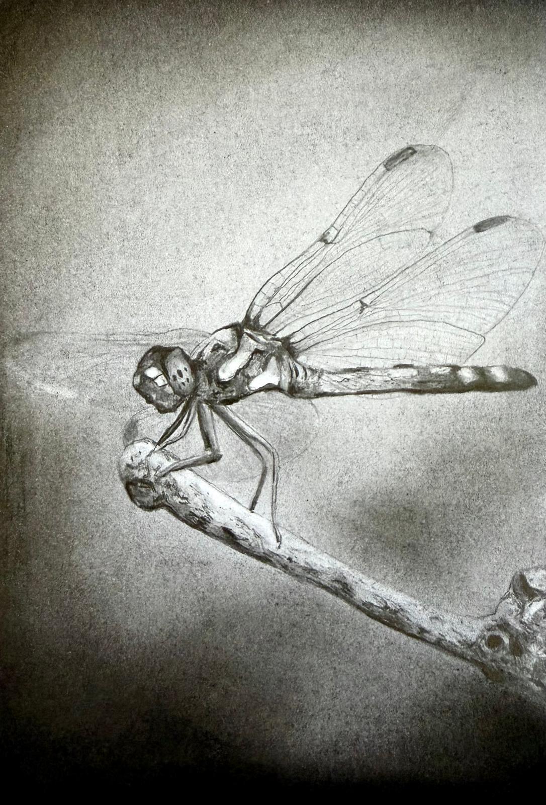 zeichnungen - undefined