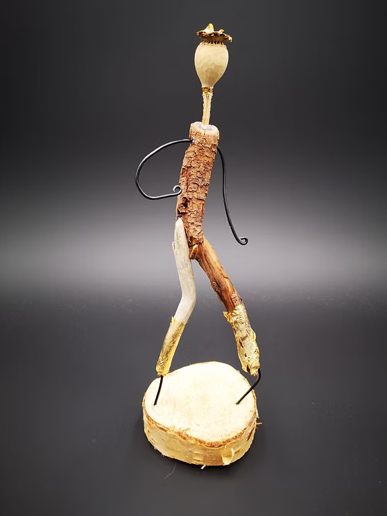 schwemmholz - undefined