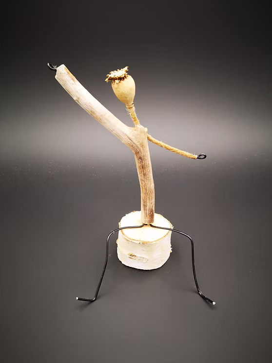 schwemmholz - undefined